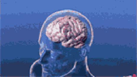 腦部神經元活動示意圖