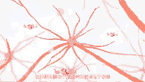 神經元放鬆示意圖